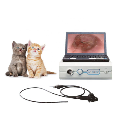 Endoscopia veterinária portátil de 110 do sistema video do endoscópio do grau subministros médicos